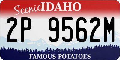 ID license plate 2P9562M