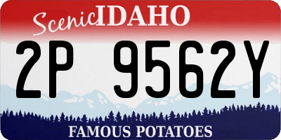 ID license plate 2P9562Y