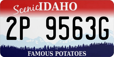 ID license plate 2P9563G