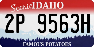 ID license plate 2P9563H