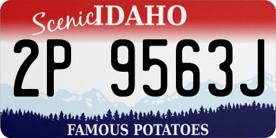 ID license plate 2P9563J