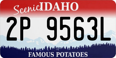ID license plate 2P9563L