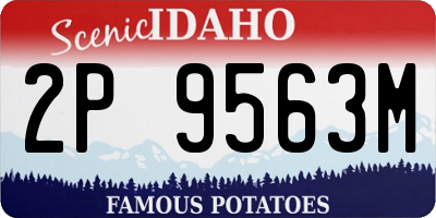 ID license plate 2P9563M