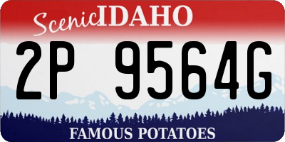 ID license plate 2P9564G