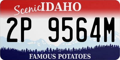 ID license plate 2P9564M