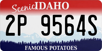 ID license plate 2P9564S