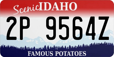 ID license plate 2P9564Z