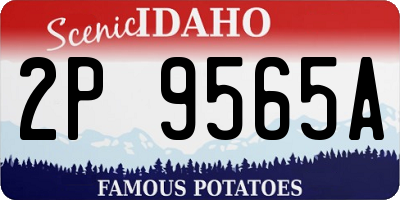 ID license plate 2P9565A