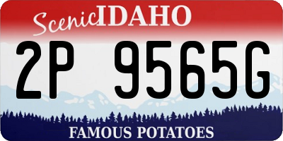 ID license plate 2P9565G