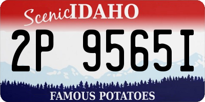 ID license plate 2P9565I
