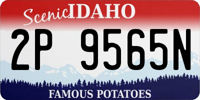 ID license plate 2P9565N