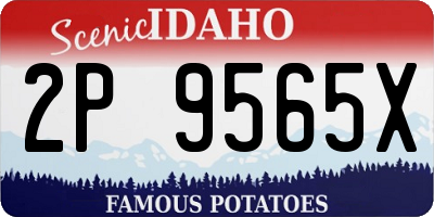 ID license plate 2P9565X