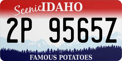 ID license plate 2P9565Z