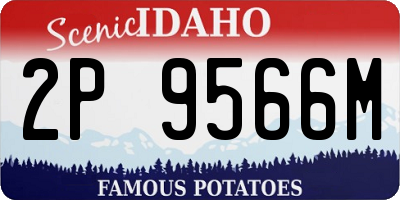 ID license plate 2P9566M