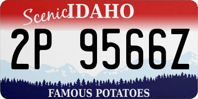 ID license plate 2P9566Z