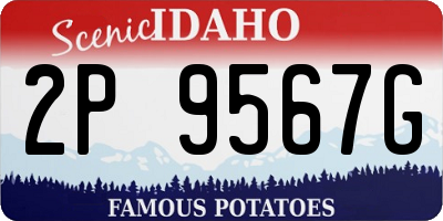 ID license plate 2P9567G