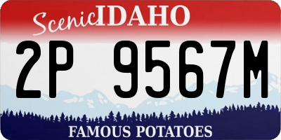 ID license plate 2P9567M