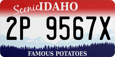 ID license plate 2P9567X