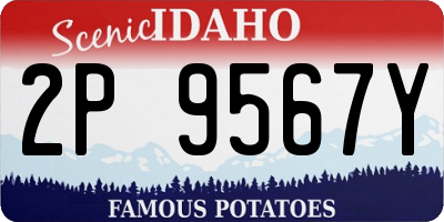 ID license plate 2P9567Y