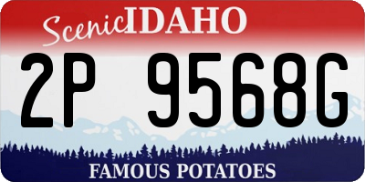 ID license plate 2P9568G