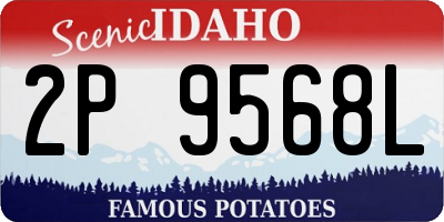 ID license plate 2P9568L
