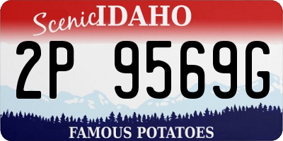 ID license plate 2P9569G