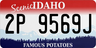ID license plate 2P9569J