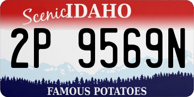 ID license plate 2P9569N