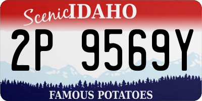 ID license plate 2P9569Y