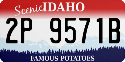 ID license plate 2P9571B
