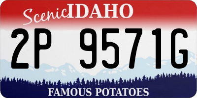 ID license plate 2P9571G