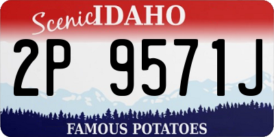 ID license plate 2P9571J