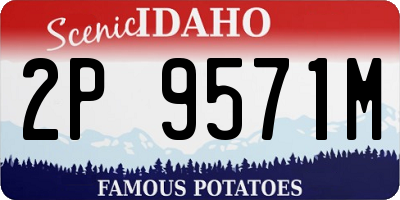 ID license plate 2P9571M