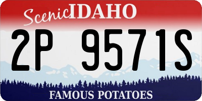 ID license plate 2P9571S