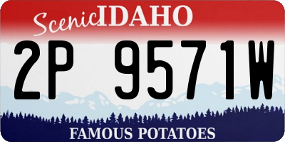 ID license plate 2P9571W