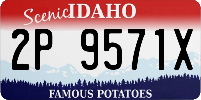 ID license plate 2P9571X
