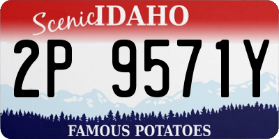 ID license plate 2P9571Y