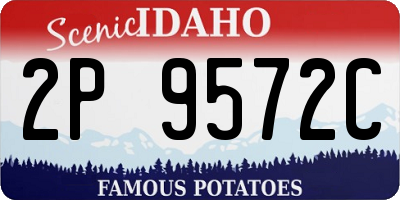 ID license plate 2P9572C