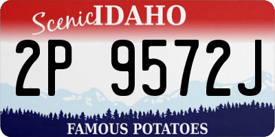 ID license plate 2P9572J