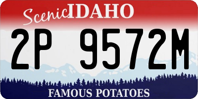 ID license plate 2P9572M