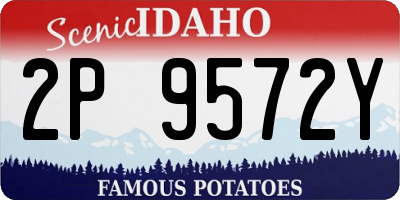 ID license plate 2P9572Y