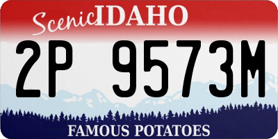 ID license plate 2P9573M