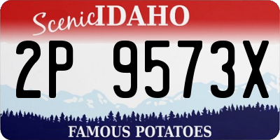 ID license plate 2P9573X