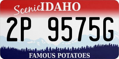ID license plate 2P9575G