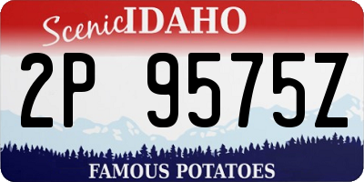ID license plate 2P9575Z