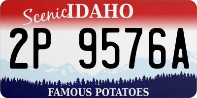 ID license plate 2P9576A