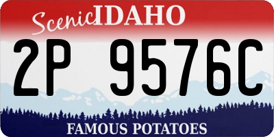 ID license plate 2P9576C