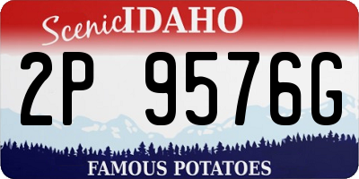 ID license plate 2P9576G