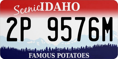 ID license plate 2P9576M