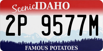 ID license plate 2P9577M